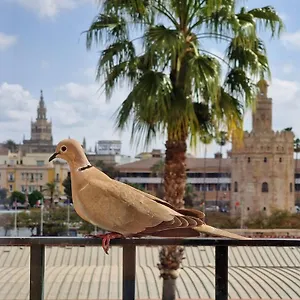  Сasa de vacaciones Betis Del Oro